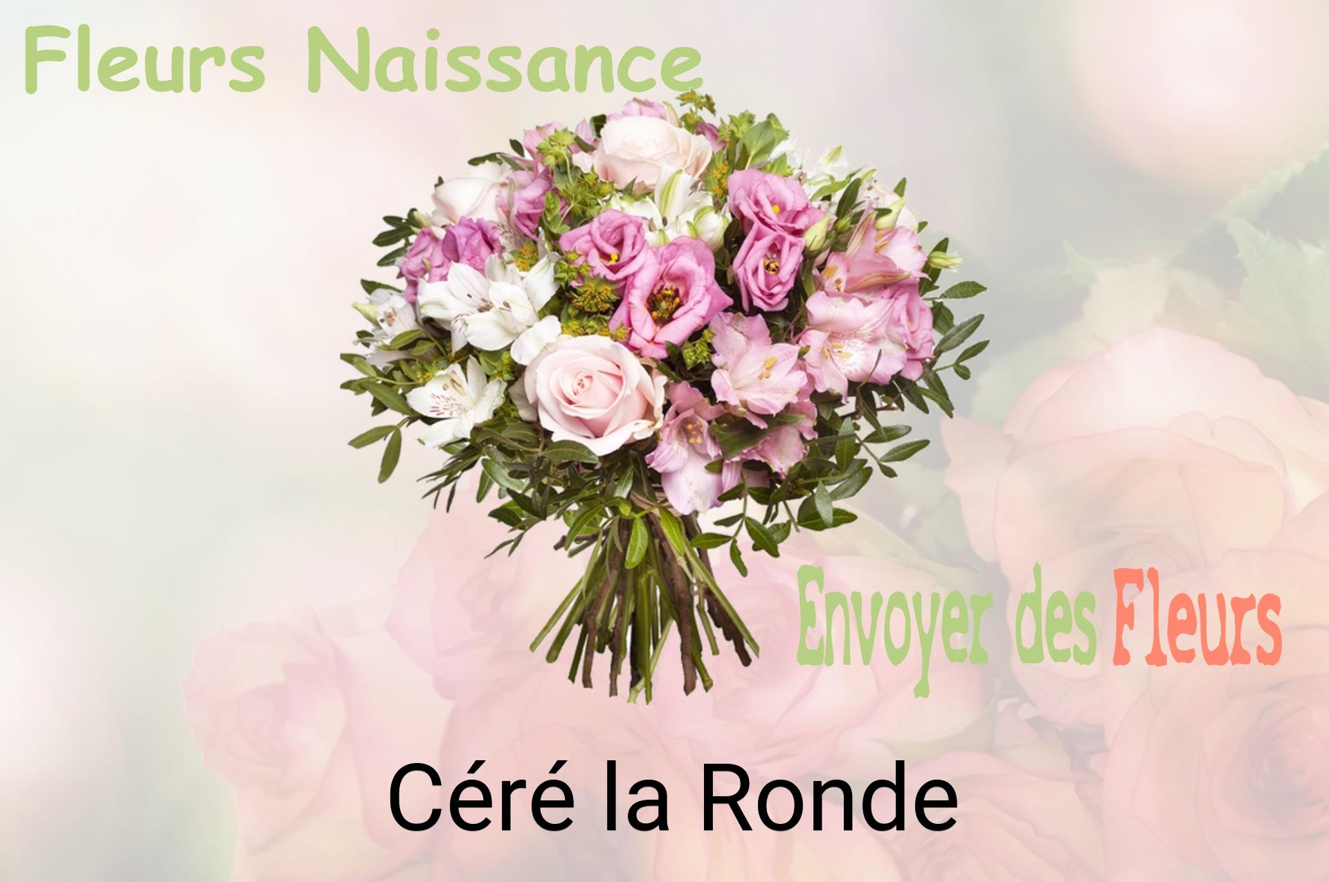 Bouquet de fleurs de naissance livré à Céré-la-Ronde